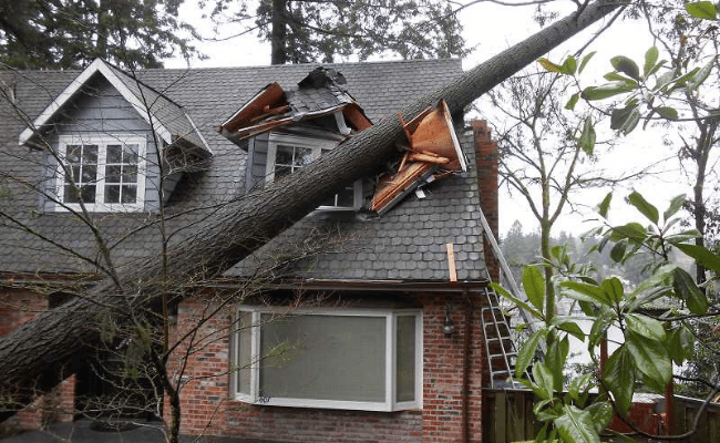 Emergency storm cleanup service Clinton, nj