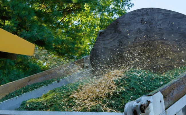 midstate Tree is doing land cleaning service Clinton, nj