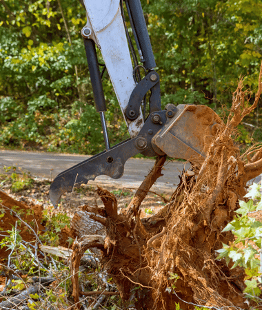 land cleaning service