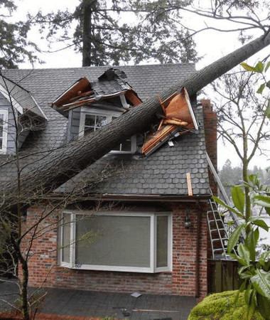 emergency storm cleanup service