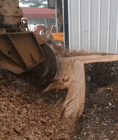 stump grinding service Washington