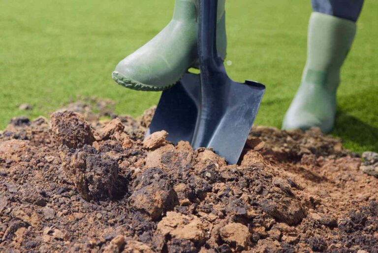 Soil Prep for Replanting