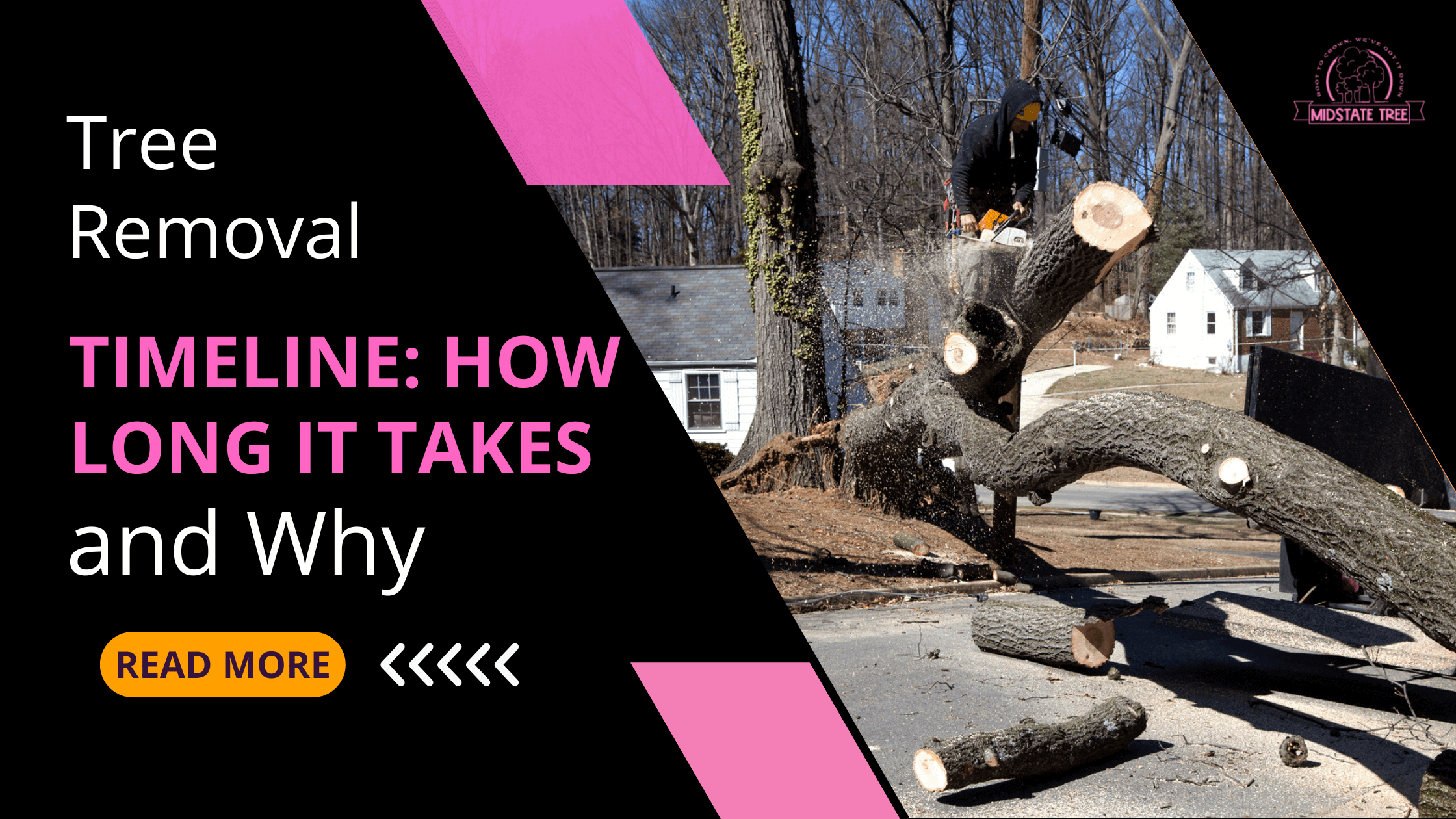 Tree Removal Timeline: How Long It Takes and Why