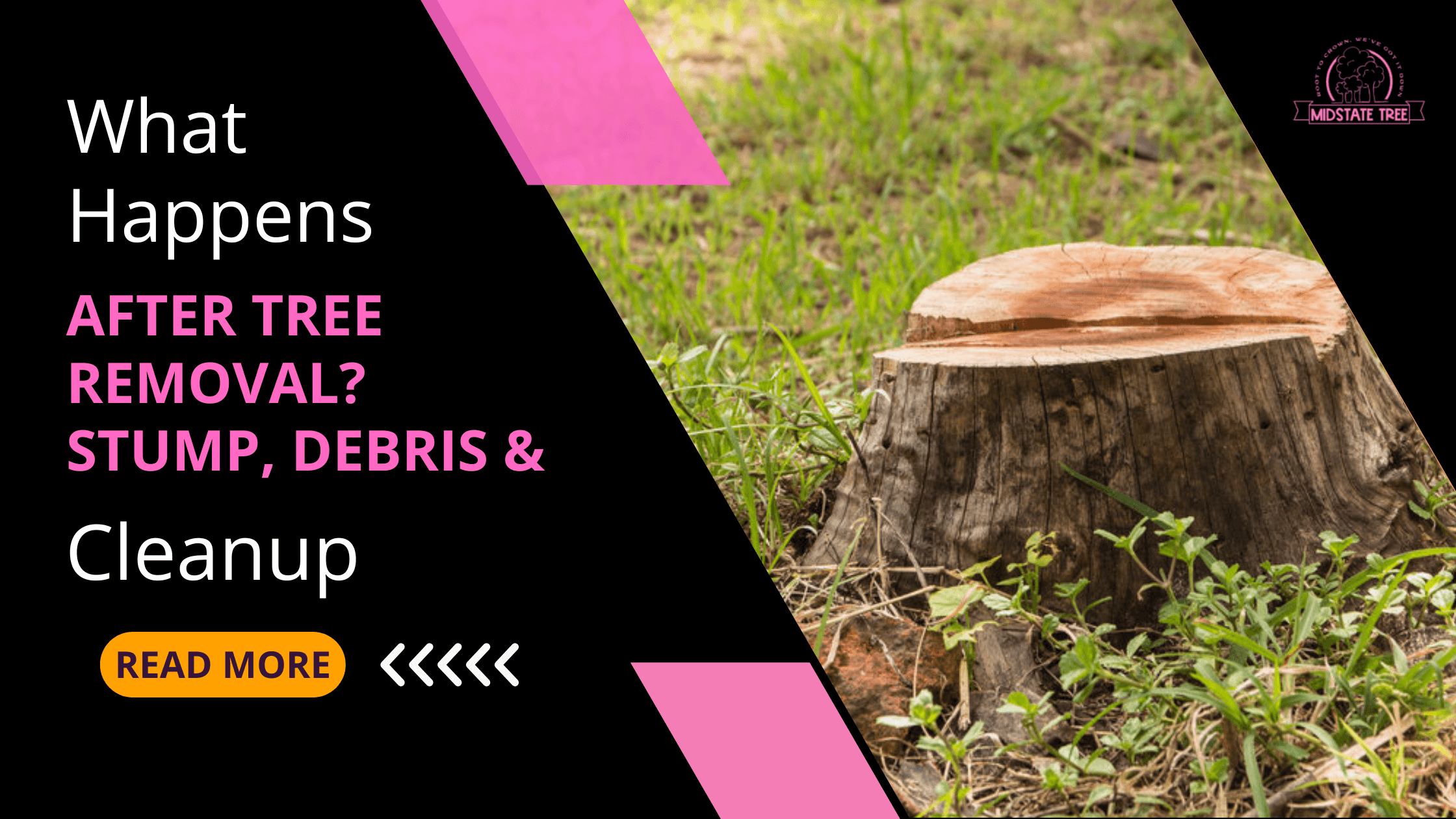 What Happens After Tree Removal? Stump, Debris & Cleanup