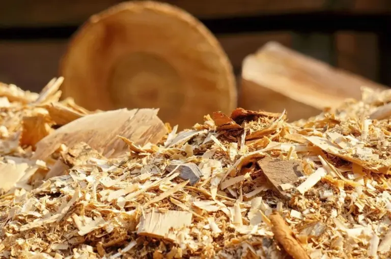 Wood Chips, Logs, and Brush: Keep or Haul Away?