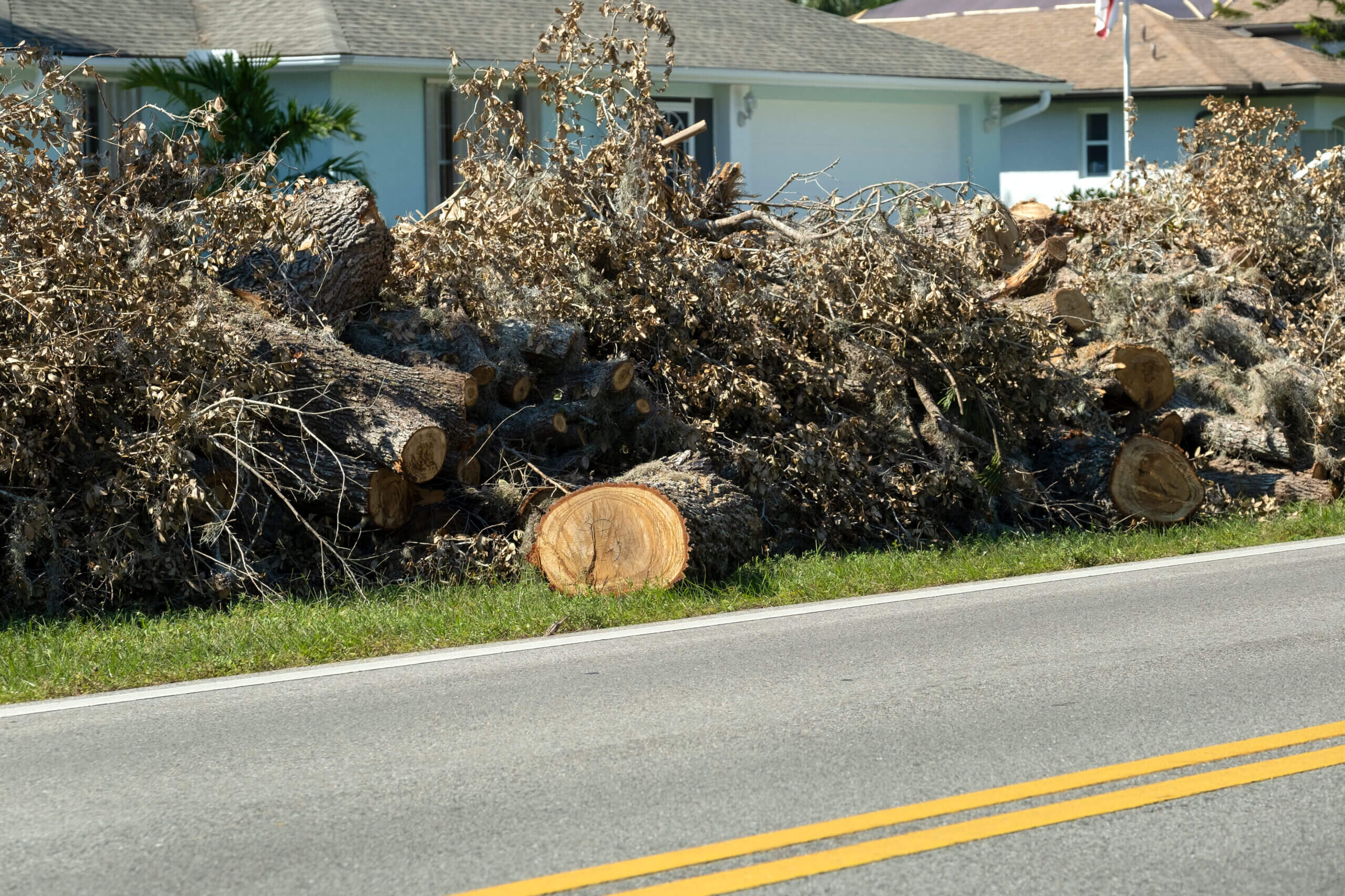 Wood Hauling & Debris Cleanup
