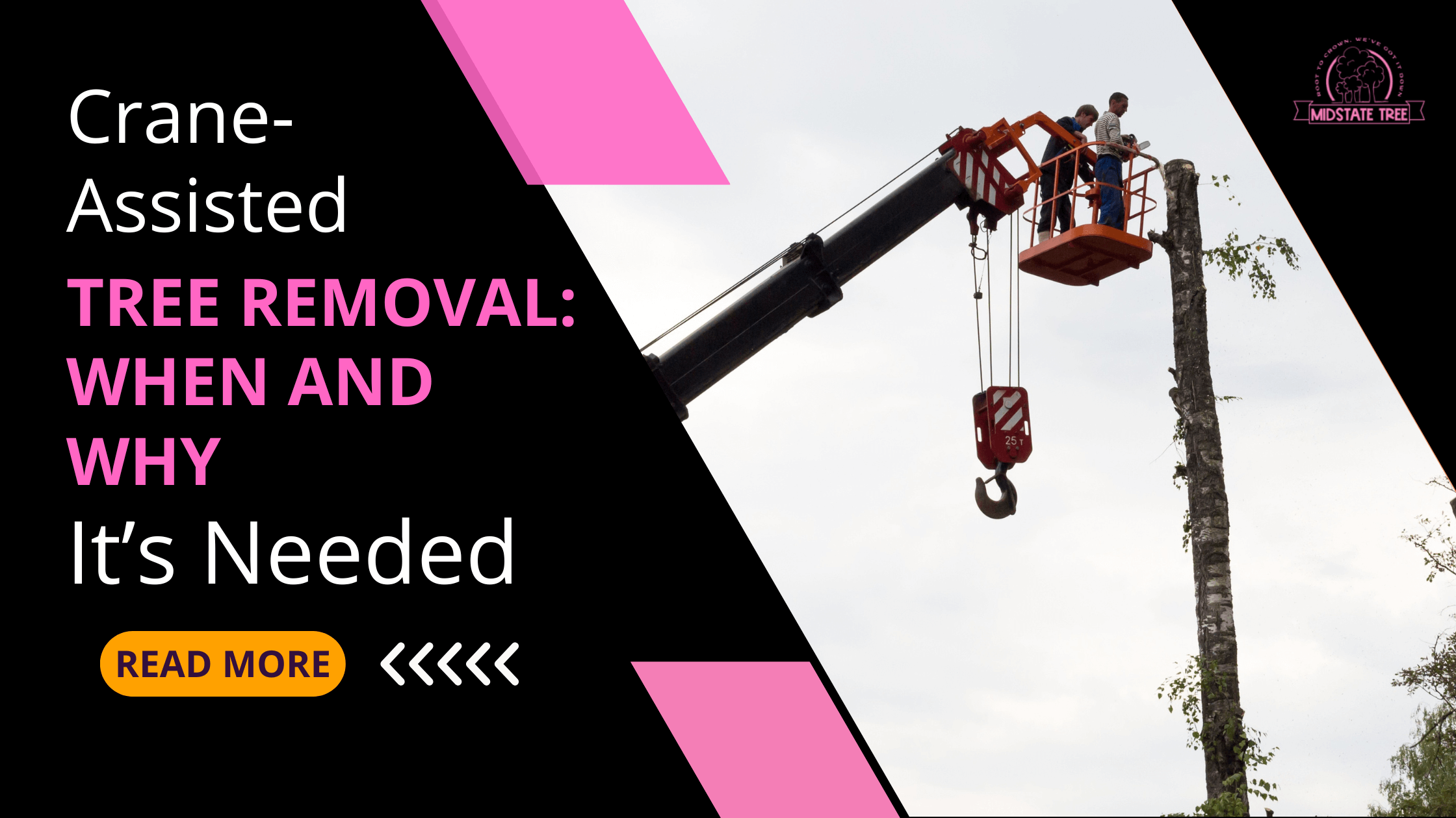 Crane-Assisted Tree Removal When and Why It’s Needed