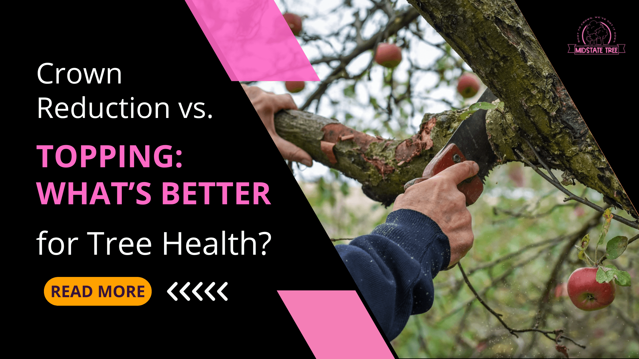 Crown Reduction vs. Topping: What’s Better for Tree Health?