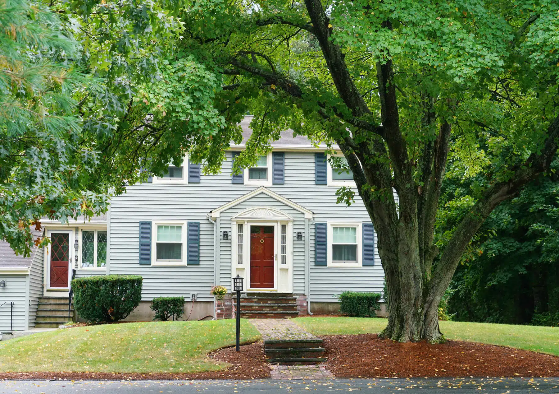 Do Trees Raise or Lower Property Value It’s All About Context