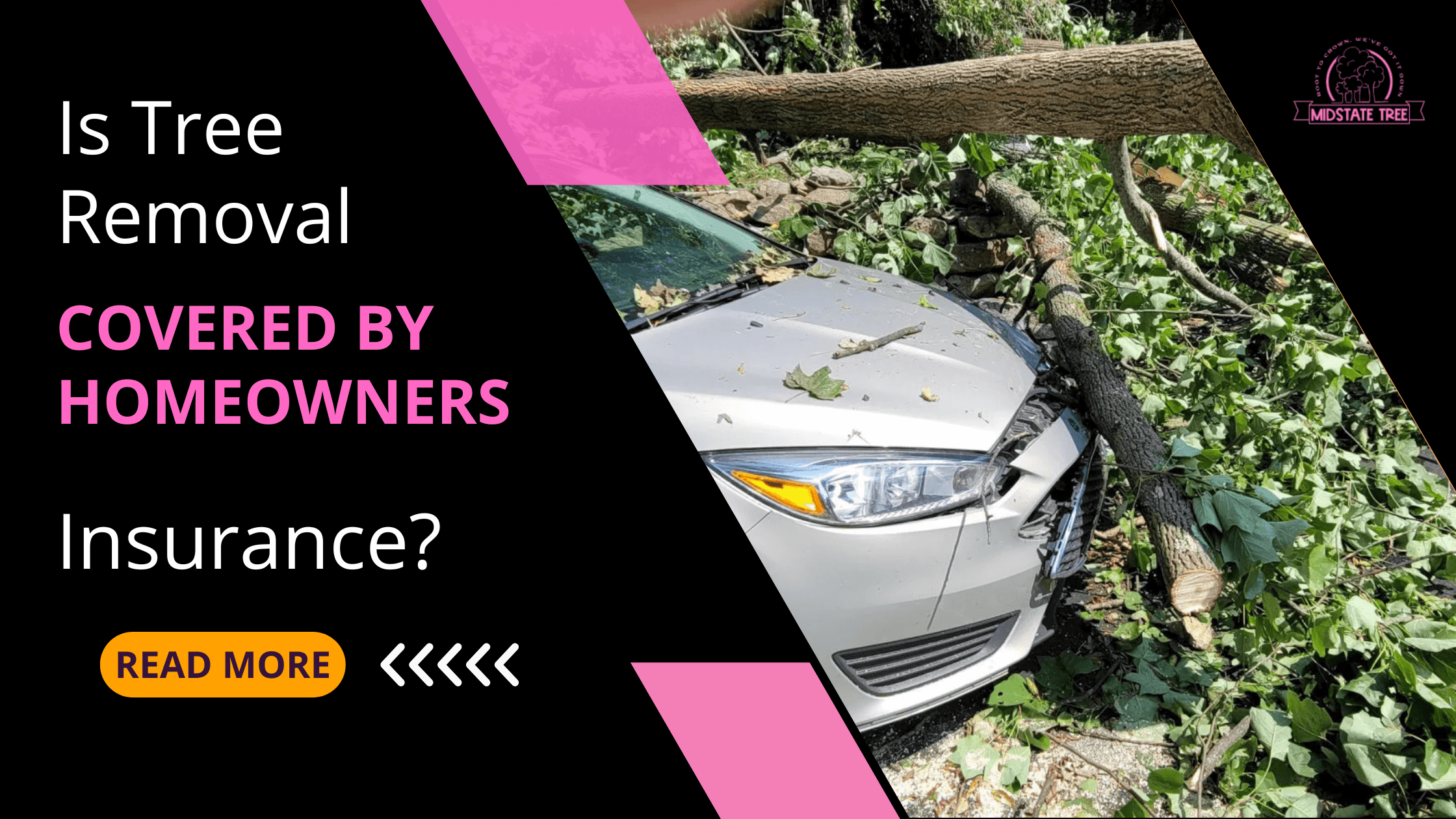 Is Tree Removal Covered by Homeowners Insurance?