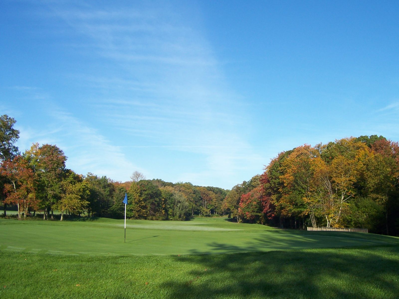 Local NJ Considerations: What Makes New Jersey Yards Unique​