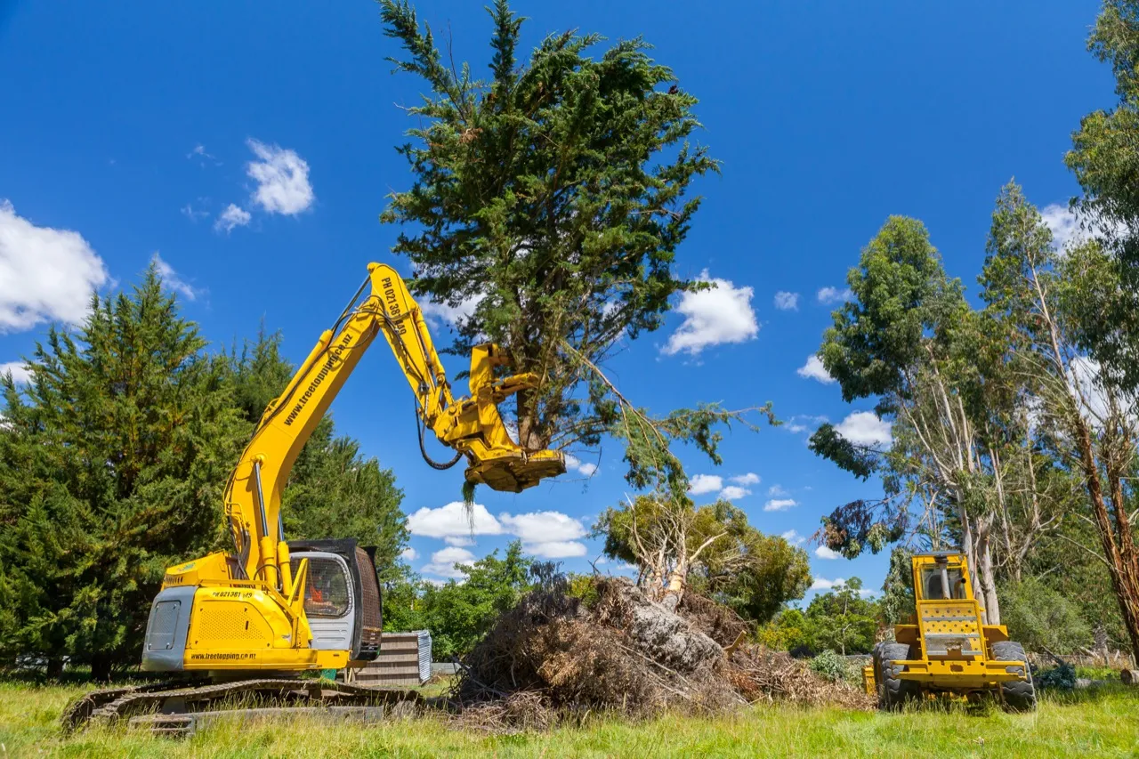 Pruning Gone Wrong: The Most Common Mistakes​