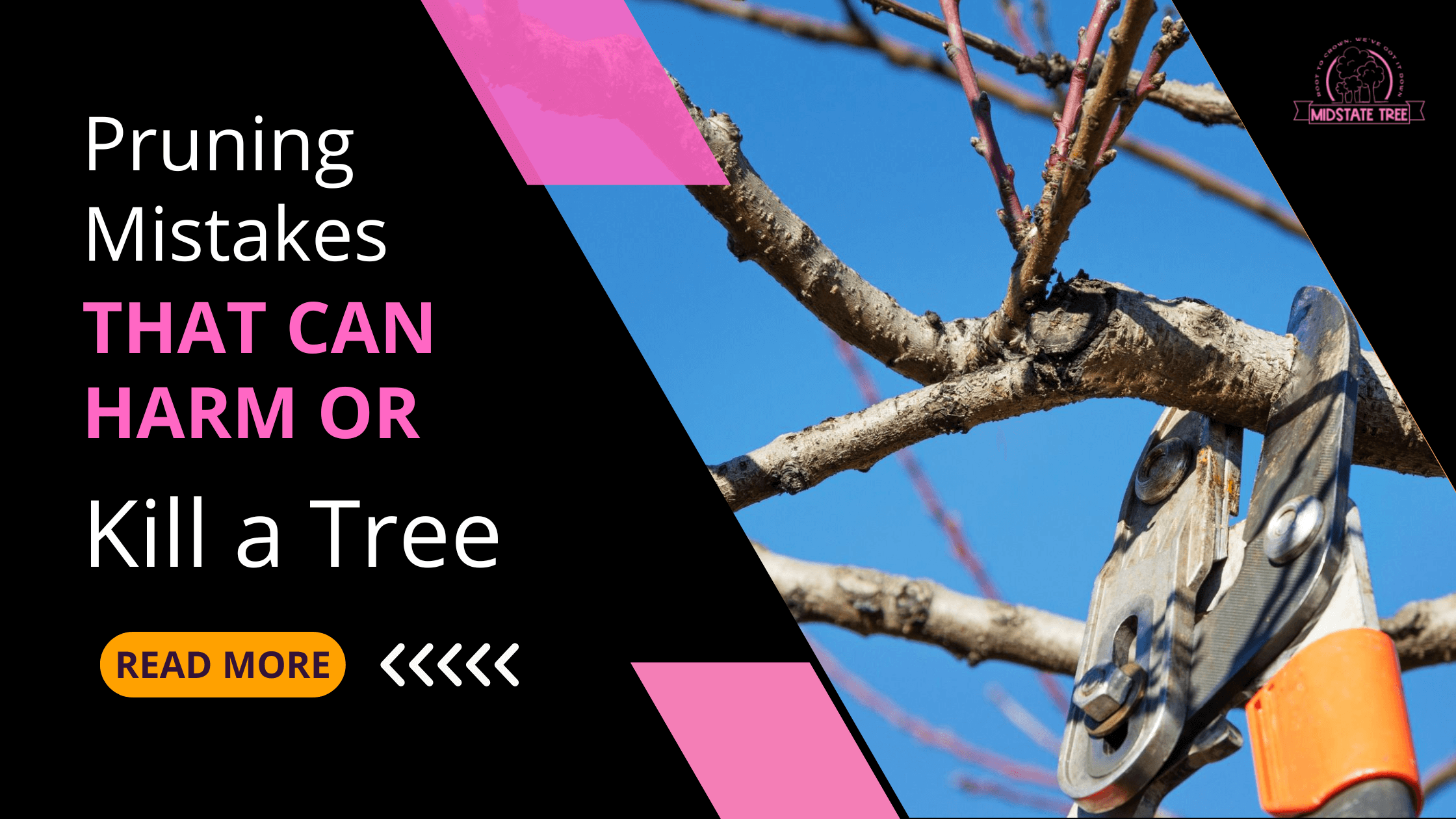 Pruning Mistakes That Can Harm or Kill a Tree