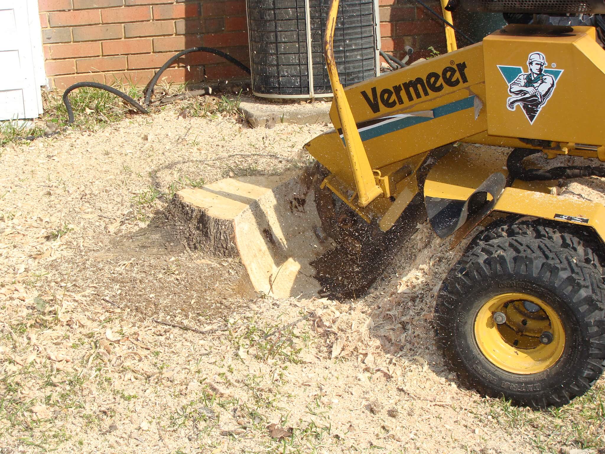 Stump Grinding vs. DIY: Don’t Risk It