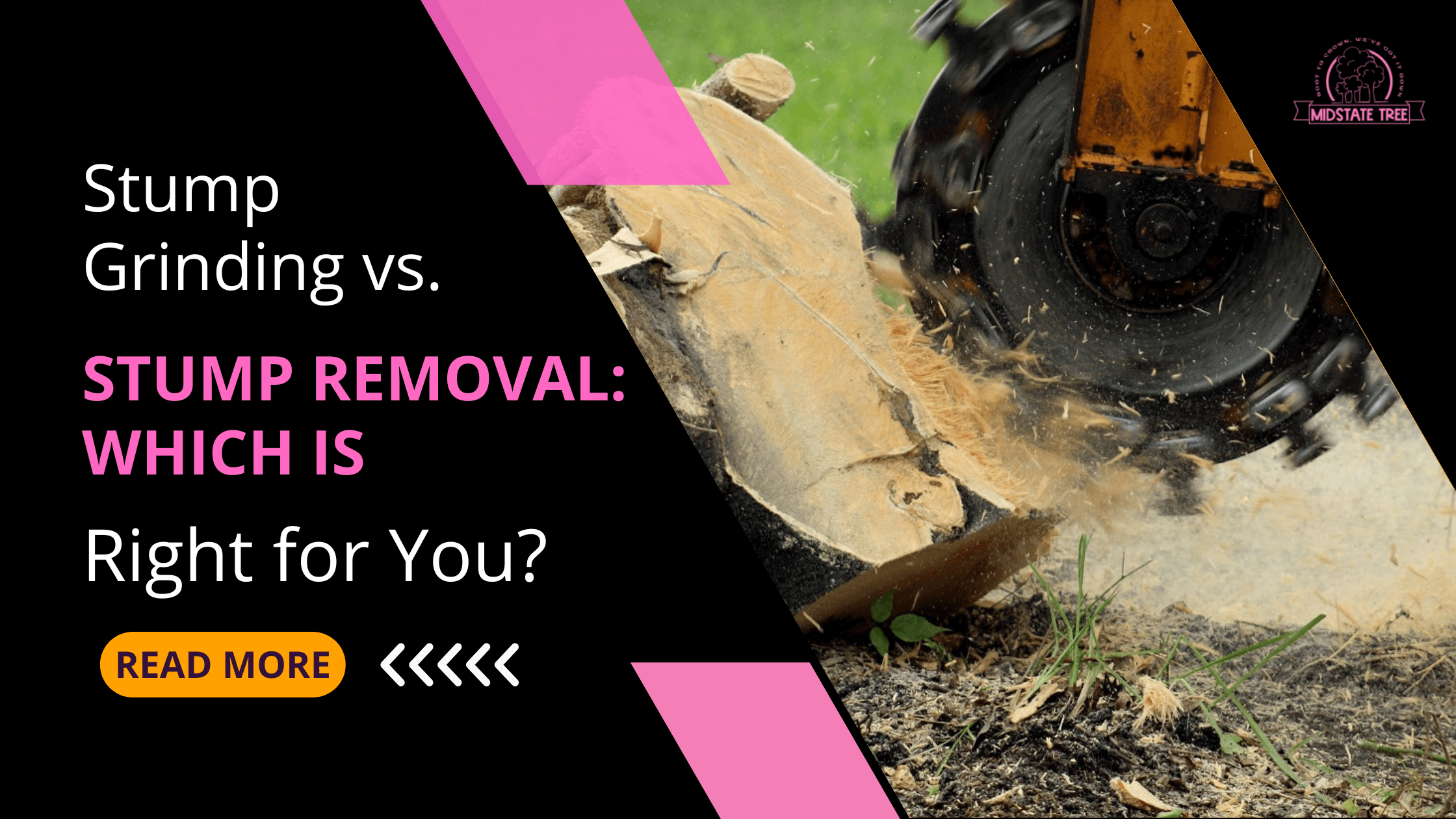Stump Grinding vs. Stump Removal: Which Is Right for You?