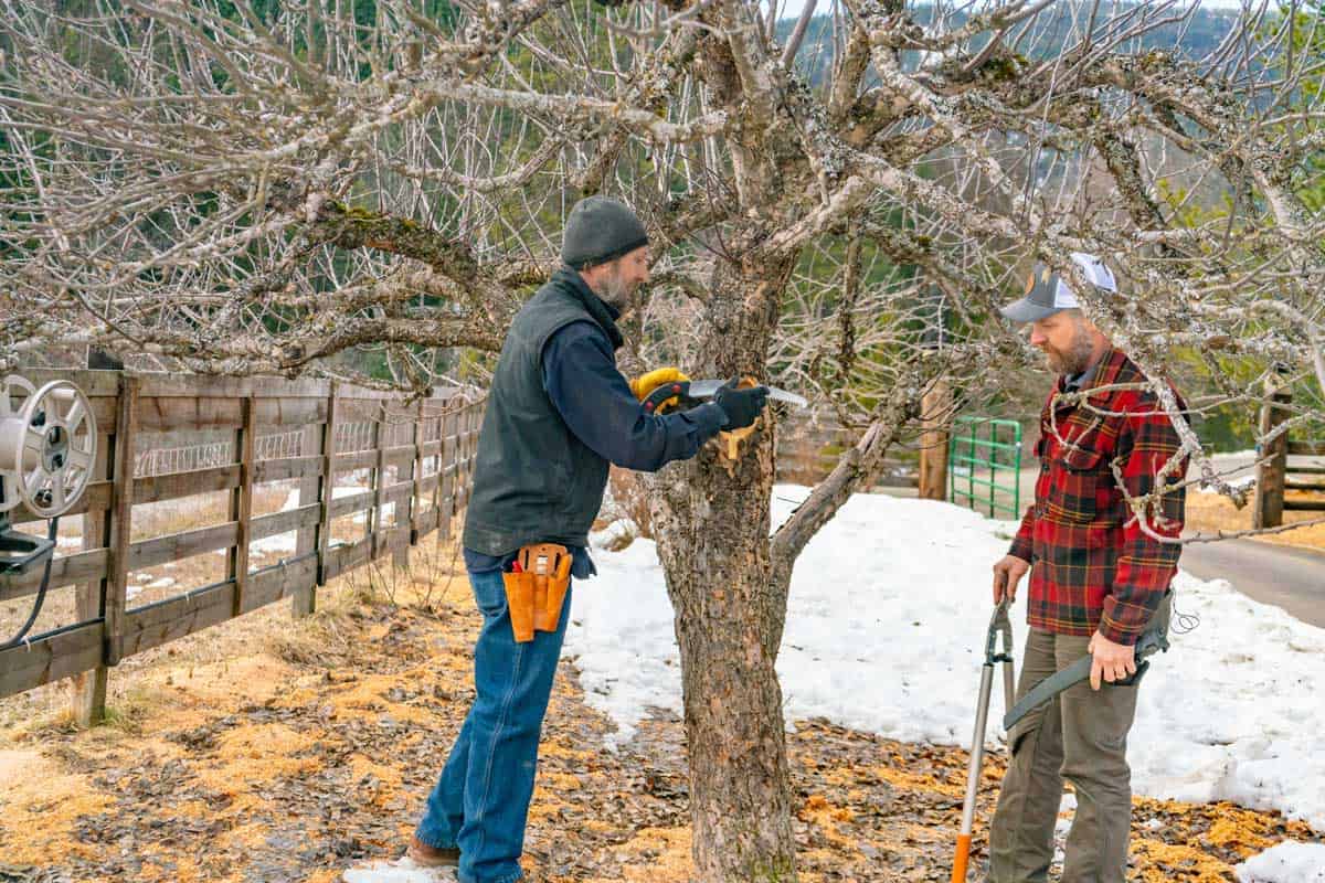 Timing Is Everything: When Not to Prune​