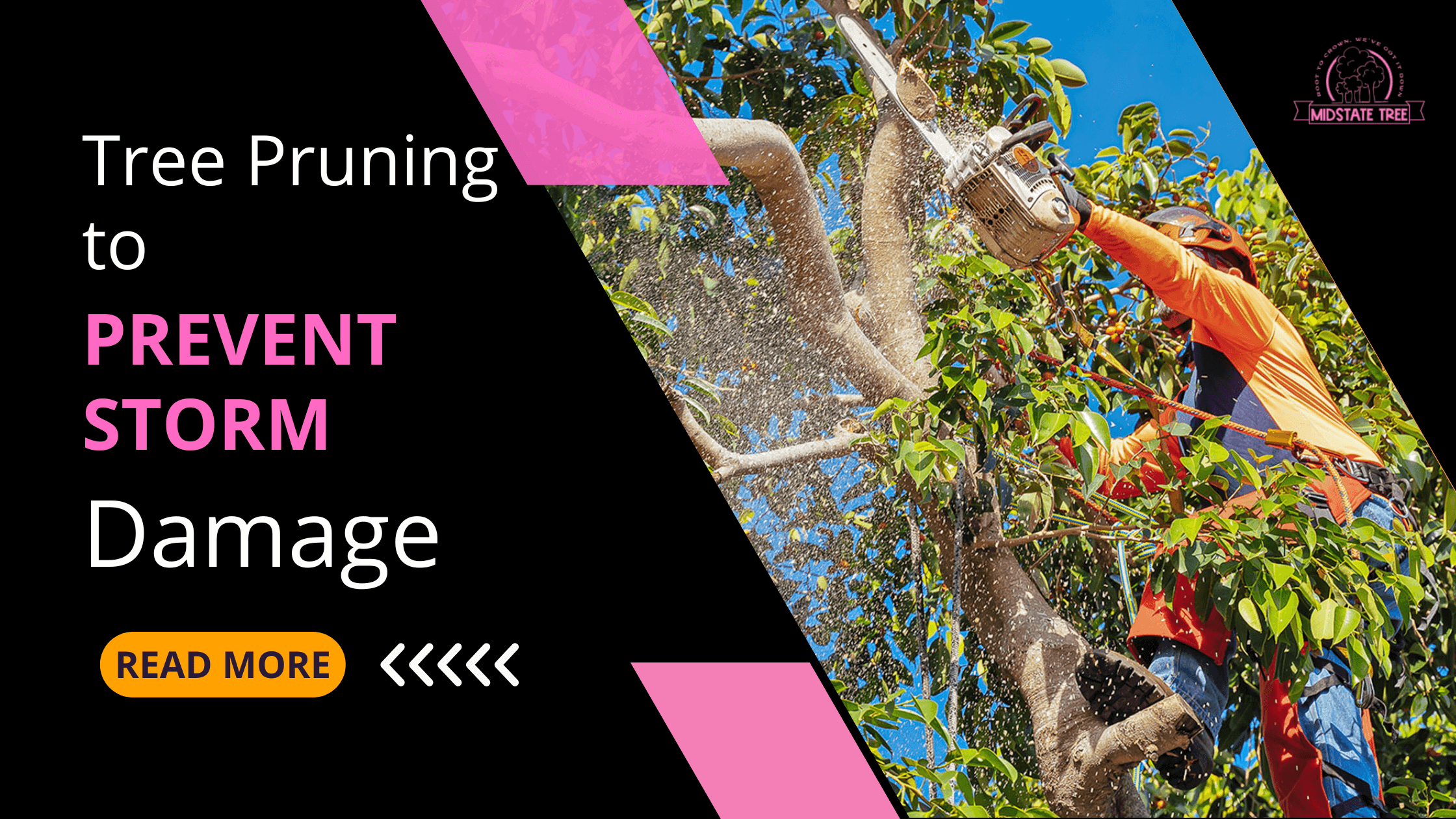 Tree Pruning to Prevent Storm Damage