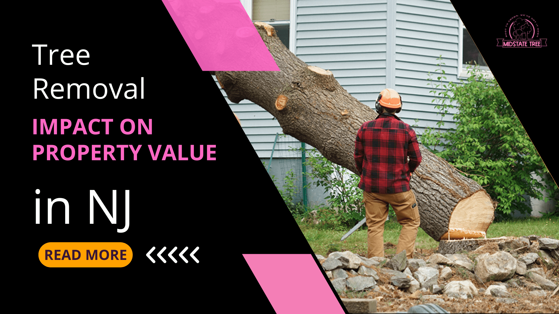 Tree Removal Impact on Property Value in NJ
