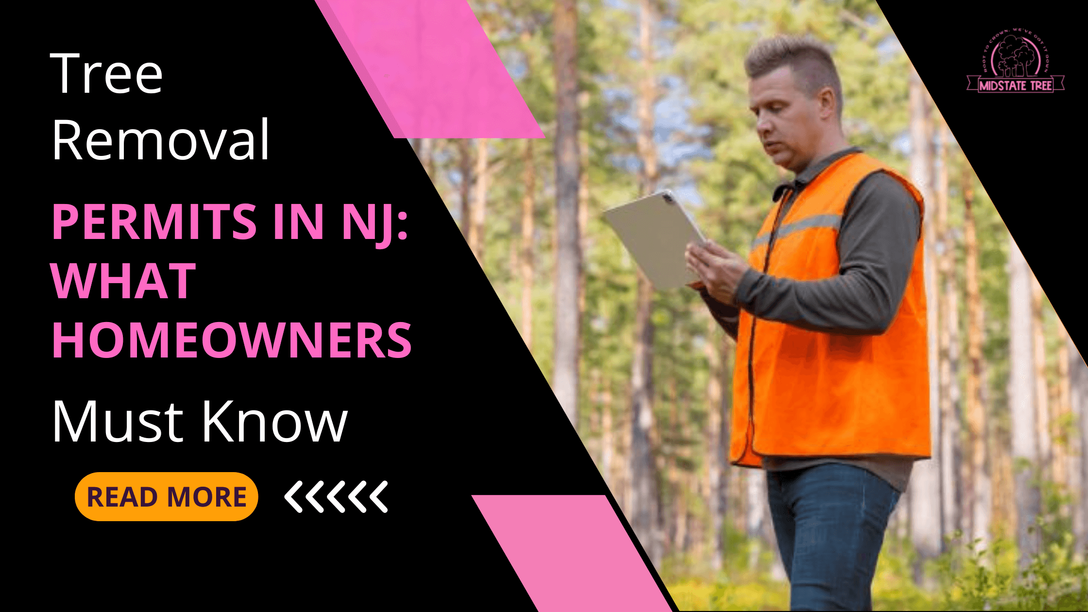 Tree Removal Permits in NJ What Homeowners Must Know