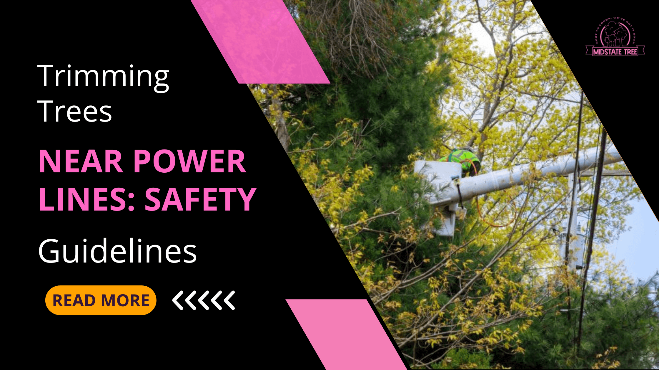 Trimming Trees Near Power Lines: Safety Guidelines