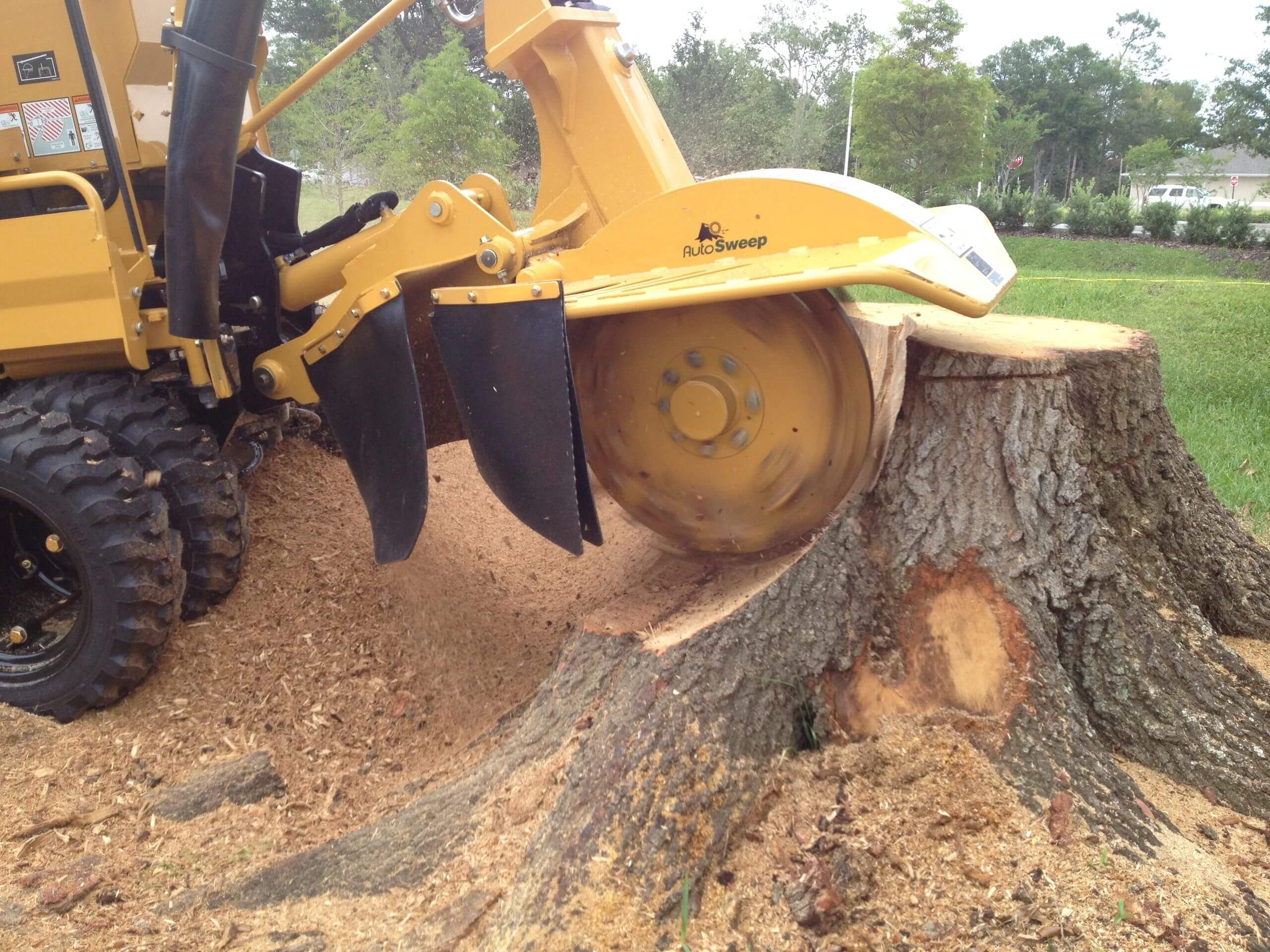 What Is Stump Grinding?​