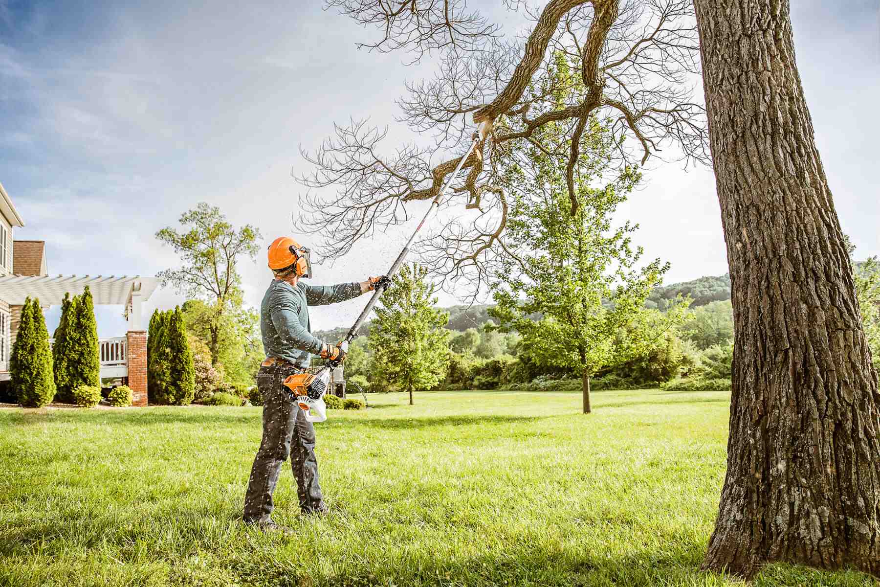 Why Tree Pruning Is Essential Before Storm Season in NJ​