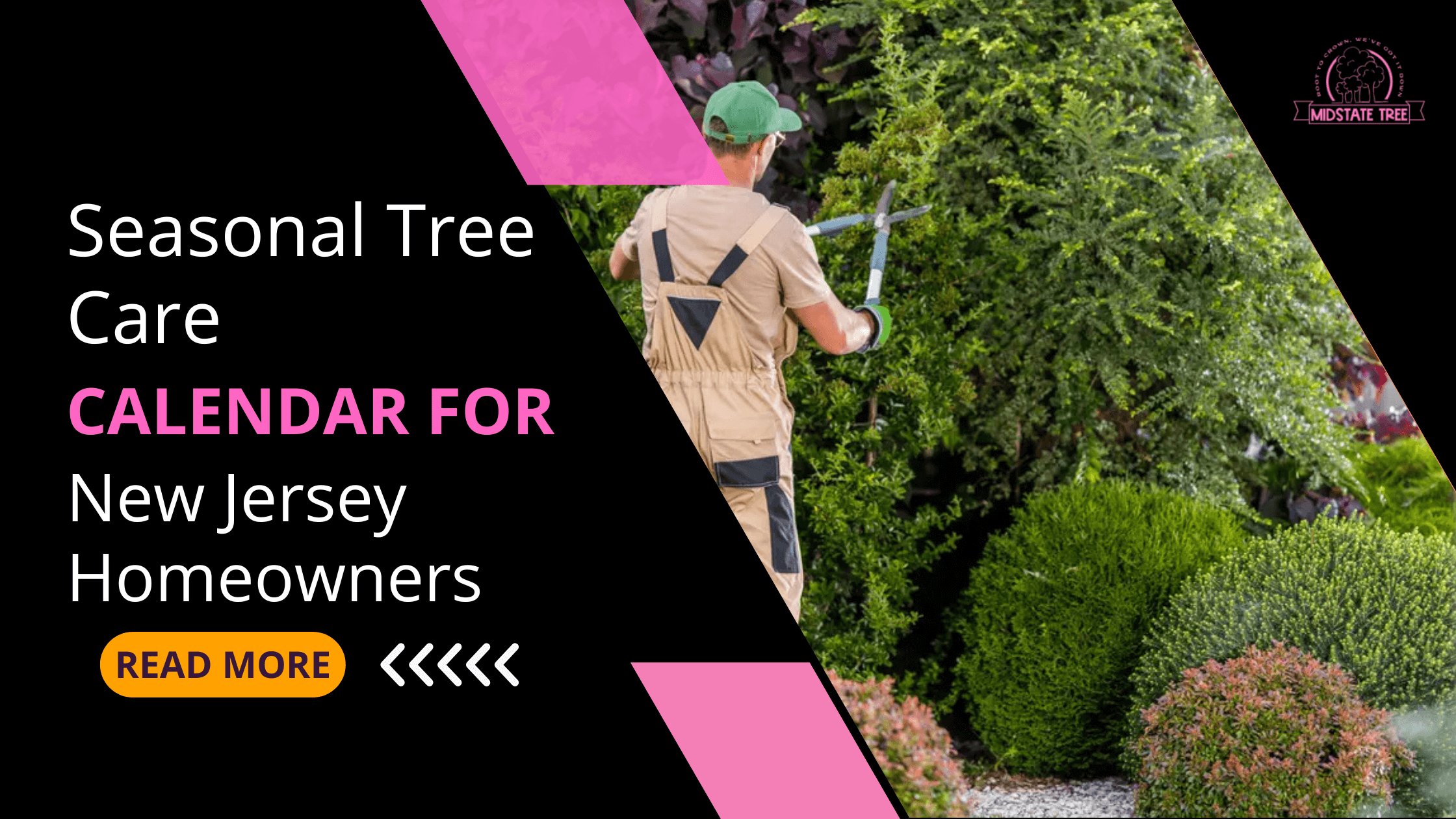 Seasonal Tree Care Calendar for New Jersey Homeowners