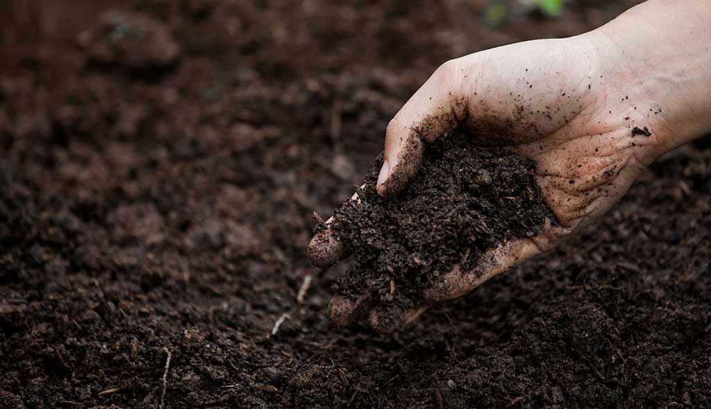 Soil Conditions in NJ What You’re Really Working With