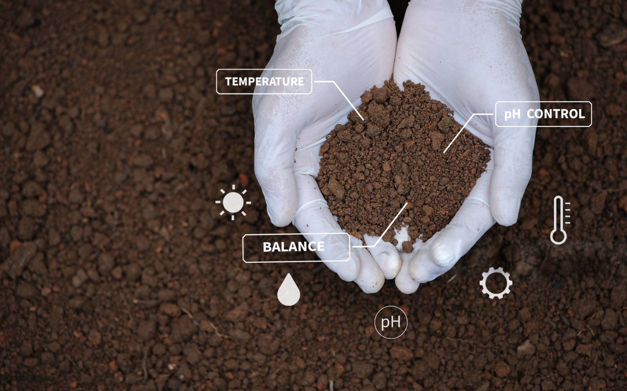 Soil Preparation & Testing Tips​