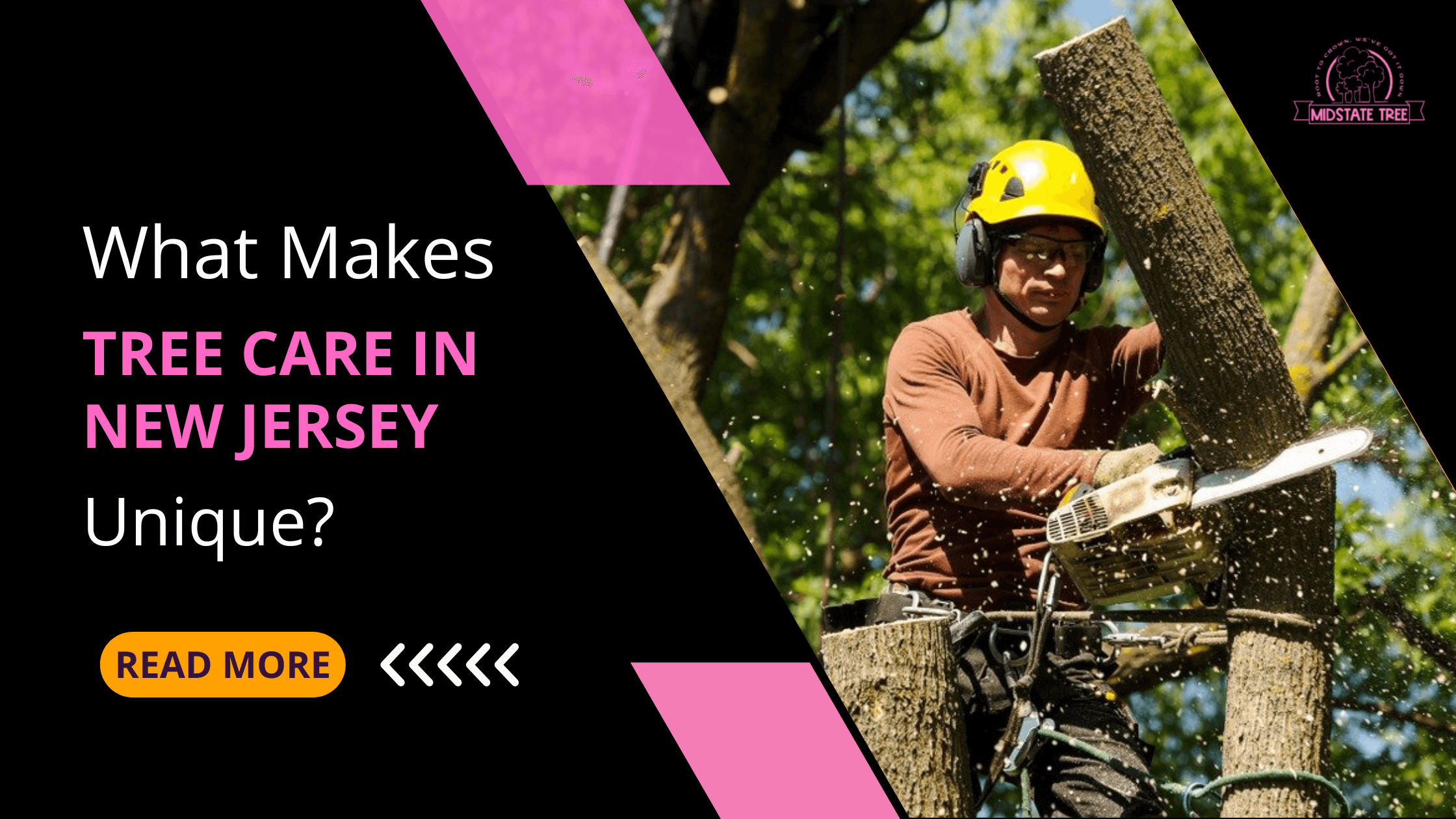 What Makes Tree Care in New Jersey Unique