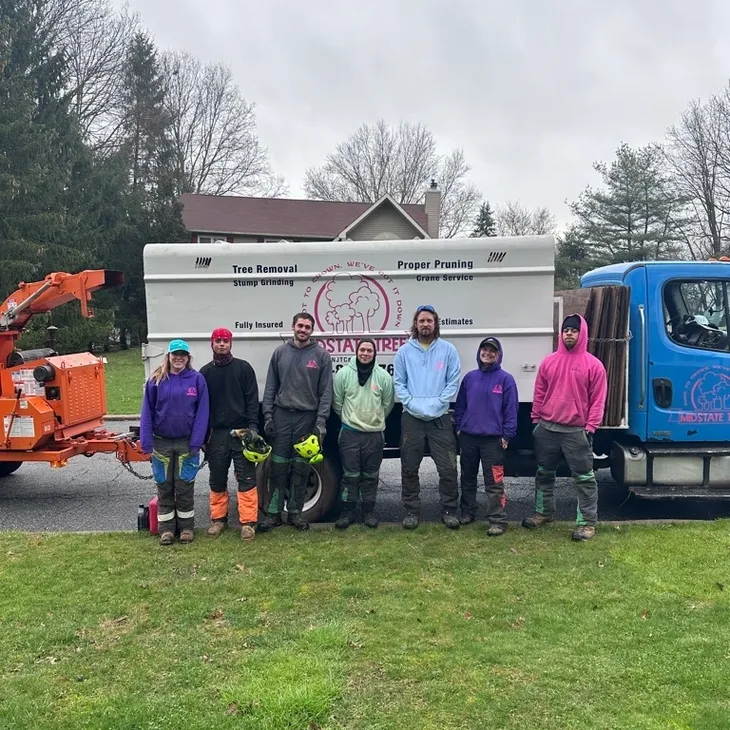 Home 4 Midstate Tree Team crew standing in front of company truck and equipment for tree removal services.